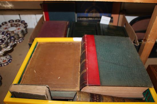 Quantity of 19th century English and French books (2 boxes)